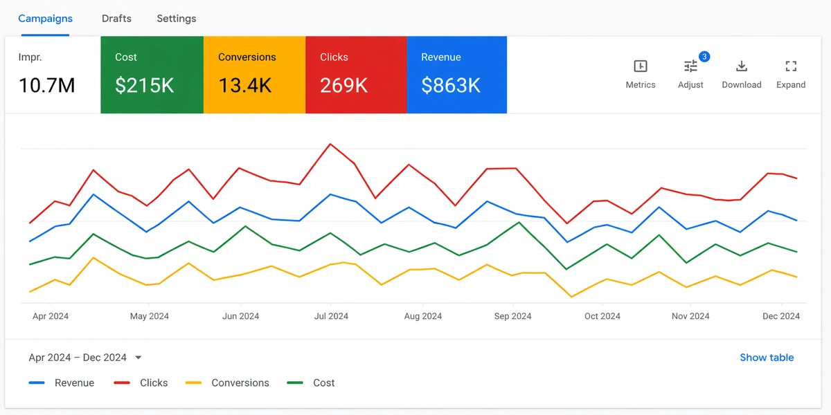 Google Ads Healthcare $863K Revenue